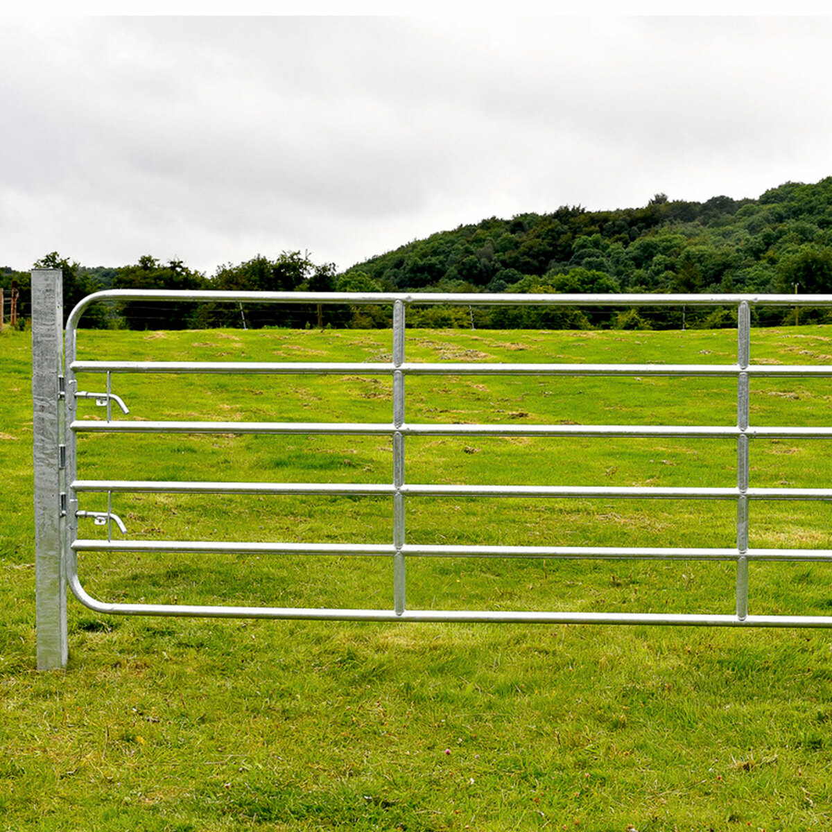 Gibney D6 Galvanised Heavy Yard Gate 20ft