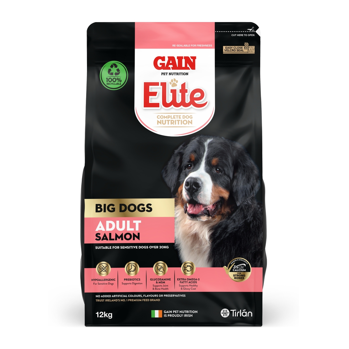 GAIN Elite Big Dogs Adult Salmon 12kg