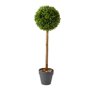 Topiary Tree Uno 40cm