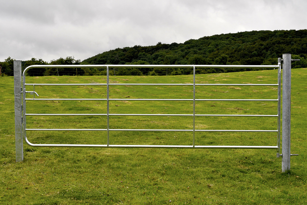 Gibney D4 Galvanised Light Field Gate 8ft