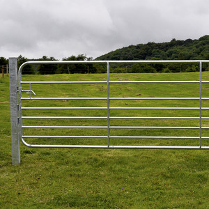 Gibney D8 Galvanised Medium Sheep Gate 8ft