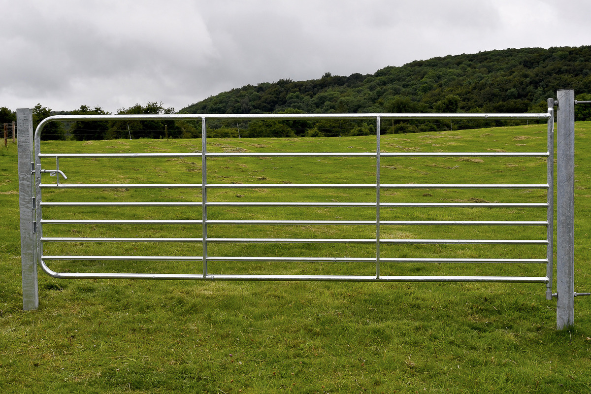 Gibney D8 Galvanised Medium Sheep Gate 8ft