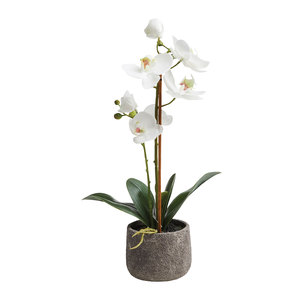 Artificial Potted Orchid 38cm