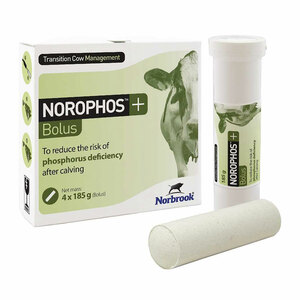 Norophos+ Blous (4x 185g)