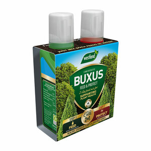 Westland 2 in1 Feed and Protect Buxus