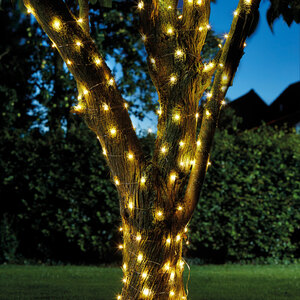 25 LED Firefly String Lights