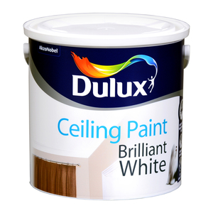 Dulux Ceiling Paint Brilliant White